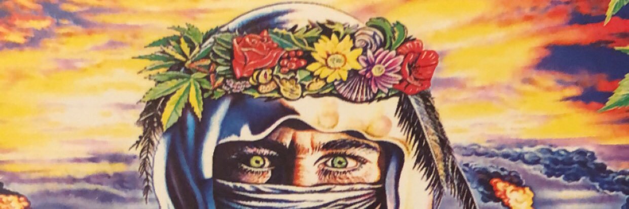 AliasOffensio's profile banner image
