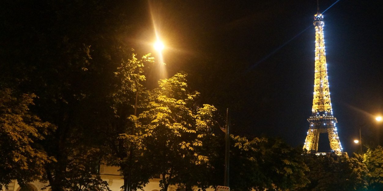 Azalea A Micottis banner