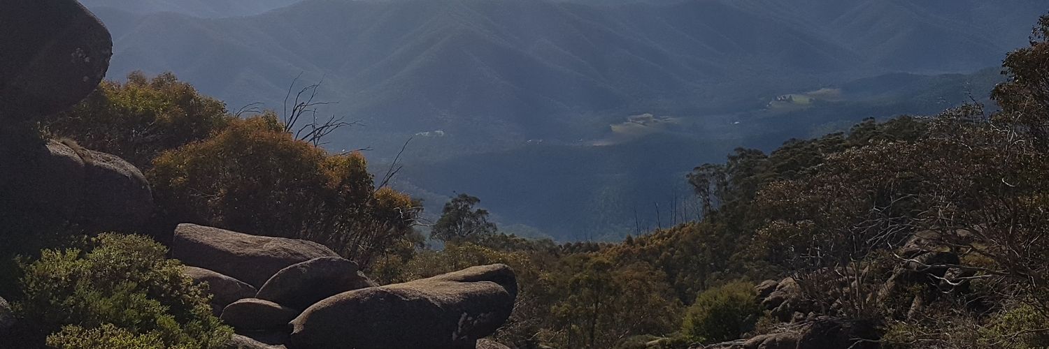 mclarebar364's profile banner image