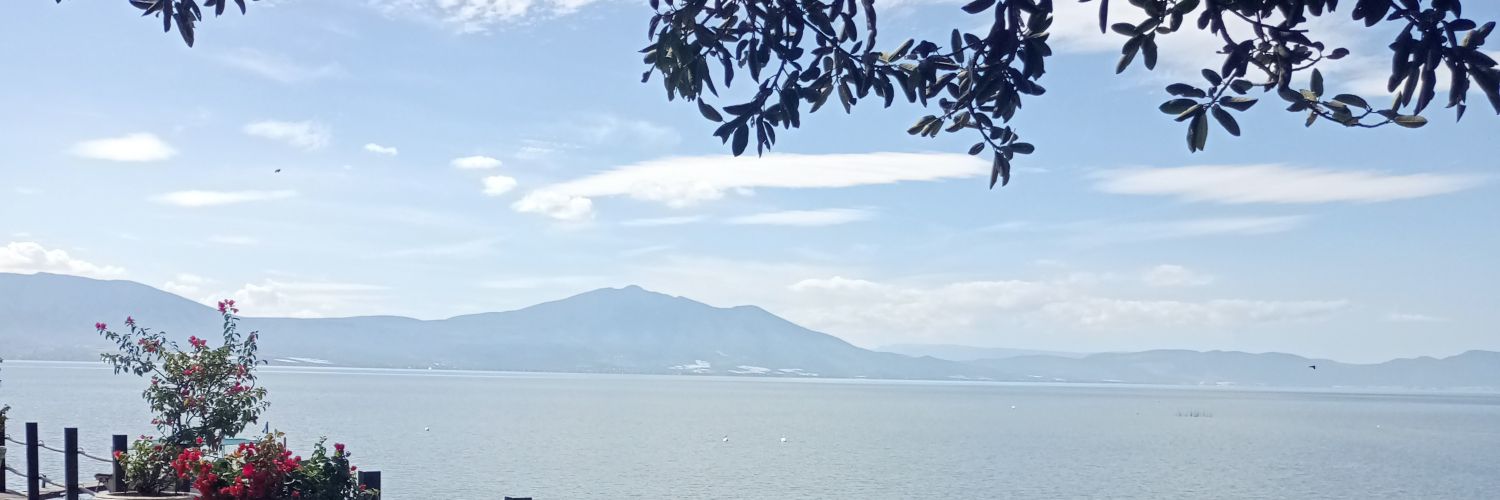 SheylaMonroy1's profile banner image