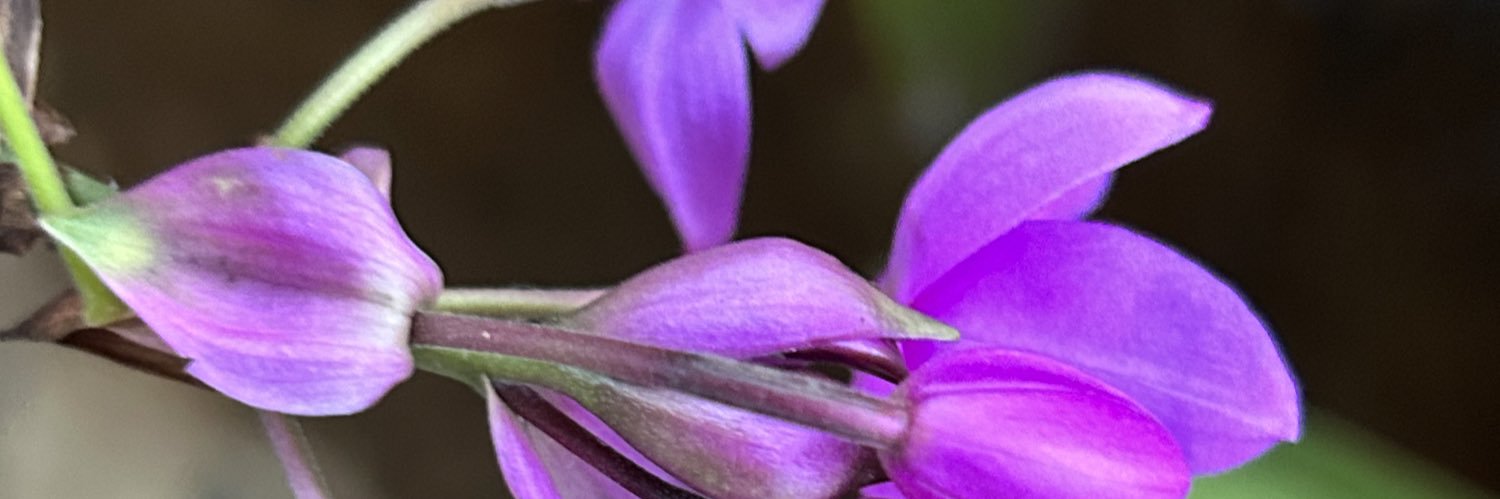 yrk1969's profile banner image