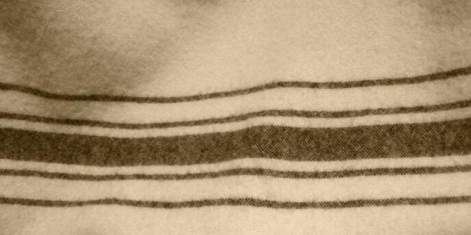 Los Sabandeños banner