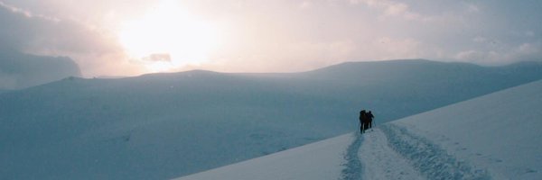 tessforest Profile Banner