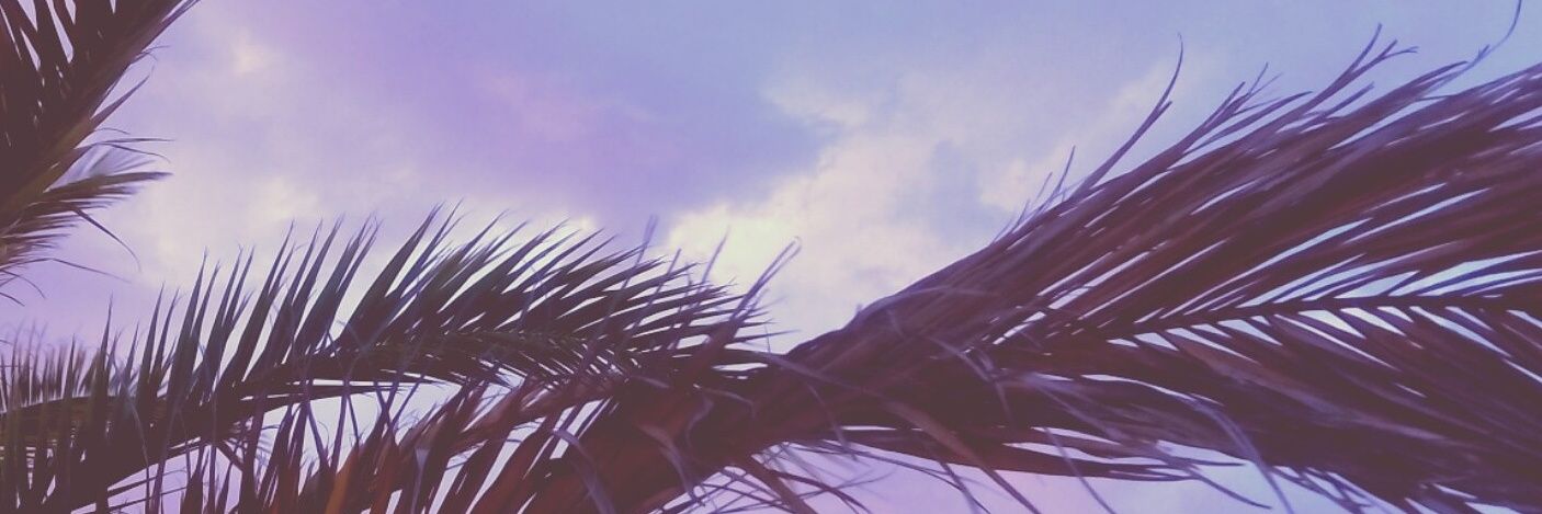 Silvy2816's profile banner image