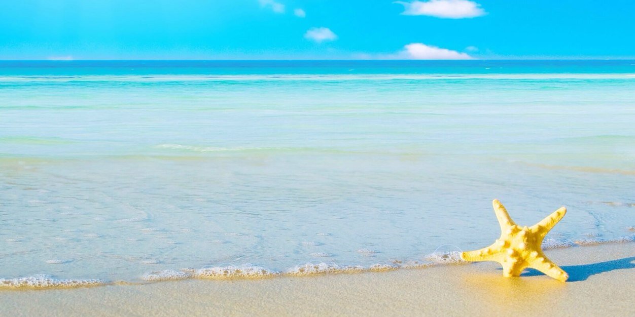 zannah005's profile banner image
