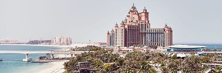 woodCassandra's profile banner image