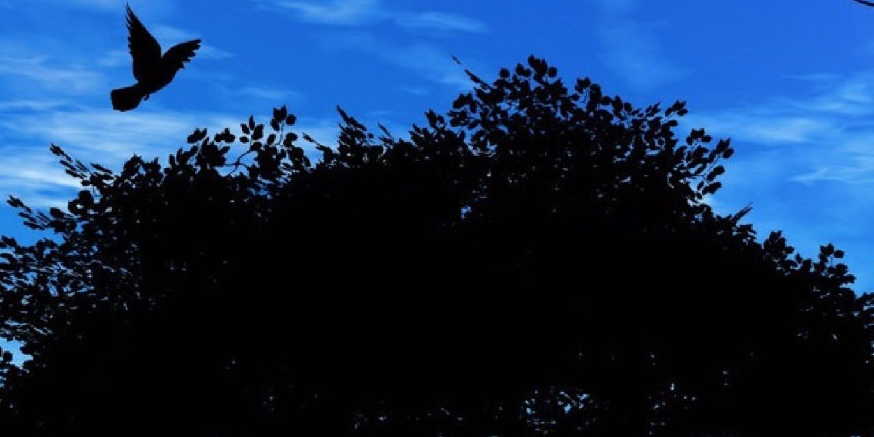 XxShinestonexX's profile banner image