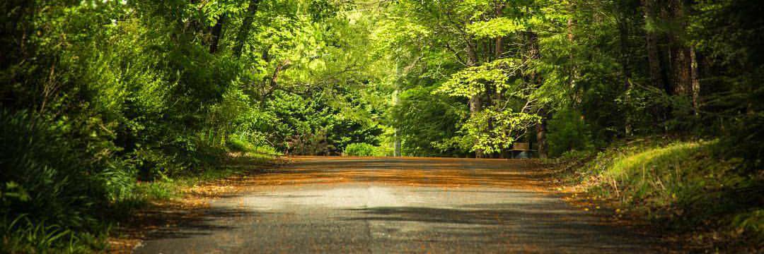 LisaIngram22's profile banner image