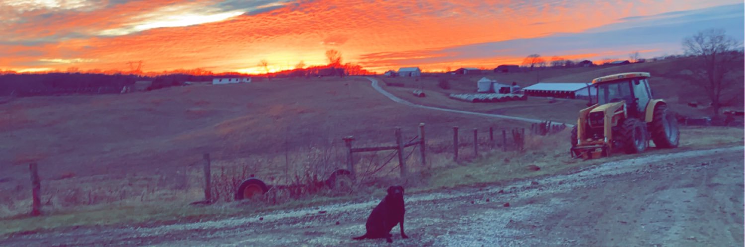 QHaubner14's profile banner image