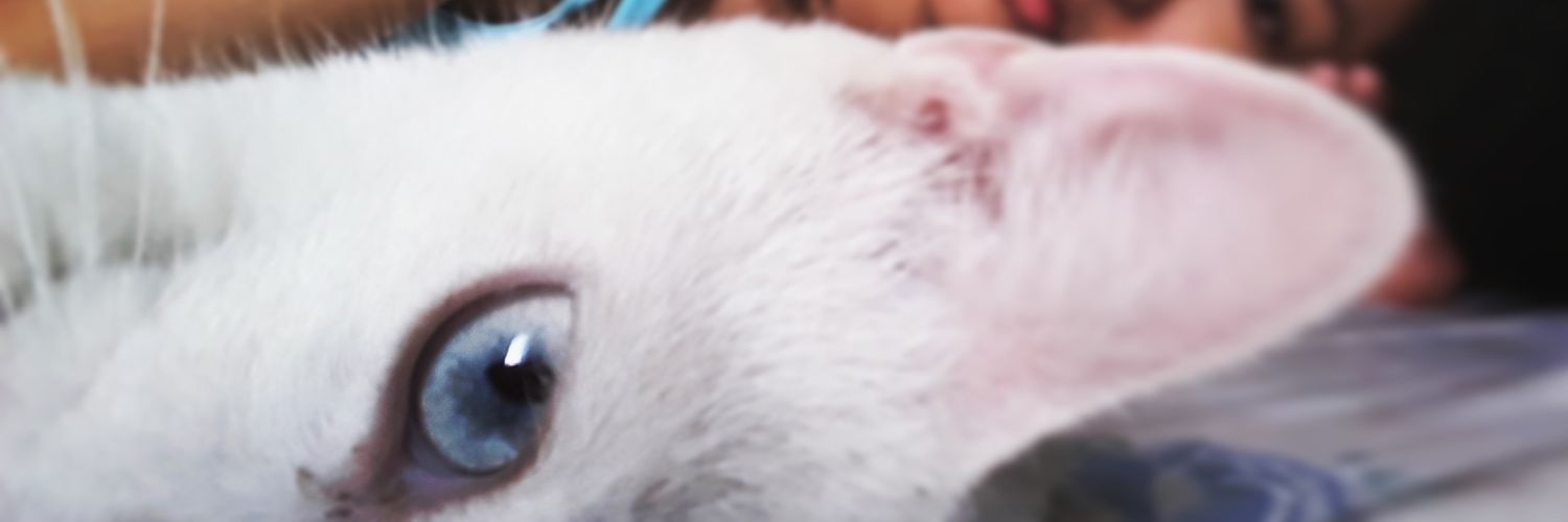 _kathaluna's profile banner image