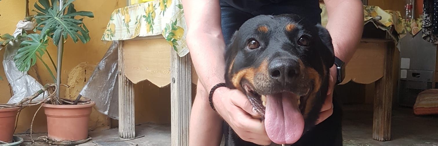Fededearce's profile banner image