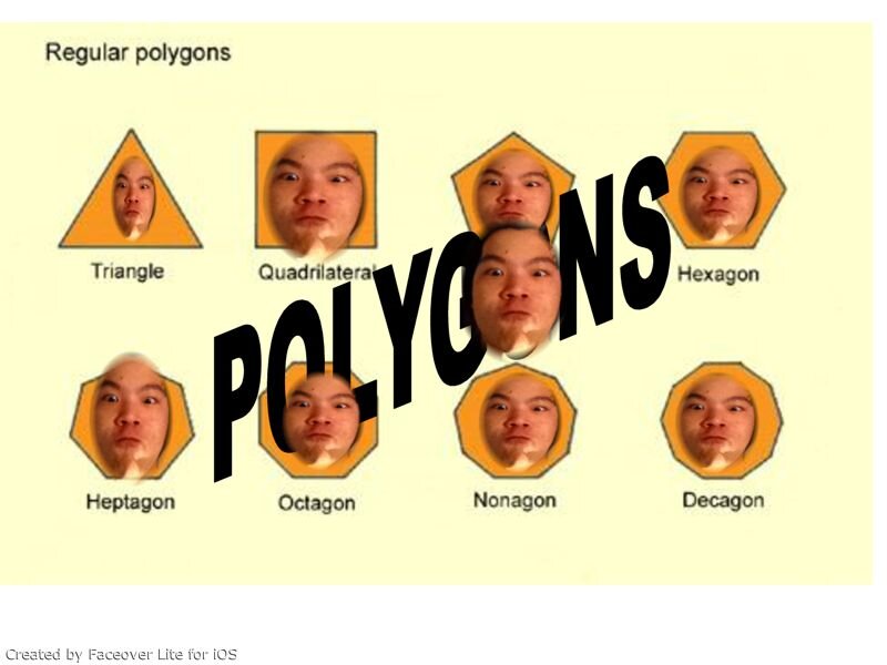polygan's profile banner image