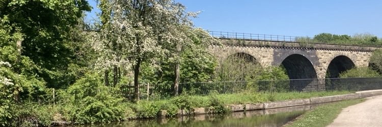 Alexandra Rucki 🇺🇦 banner