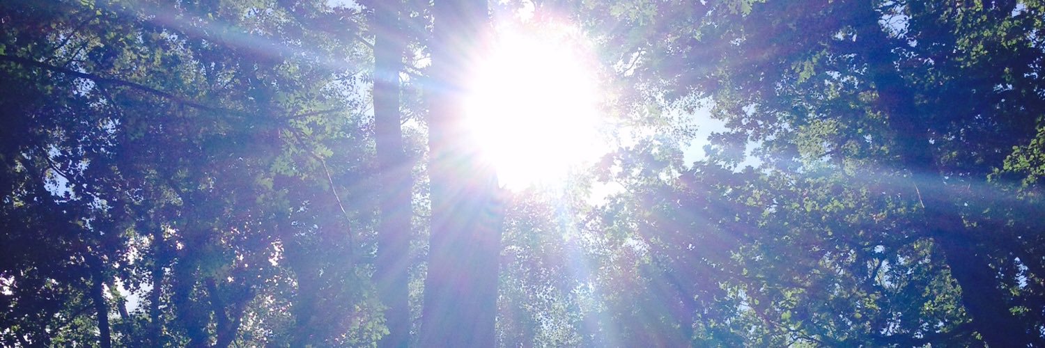 robbowainiho's profile banner image