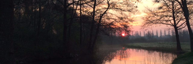 gerardlenting's profile banner image