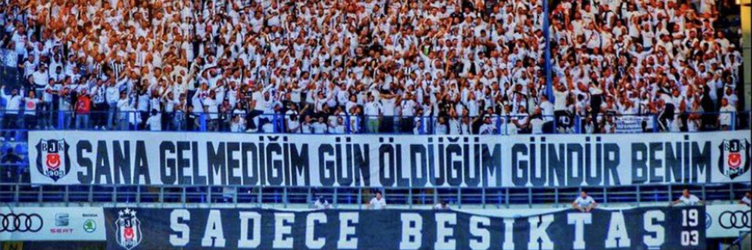 ozersnow's profile banner image