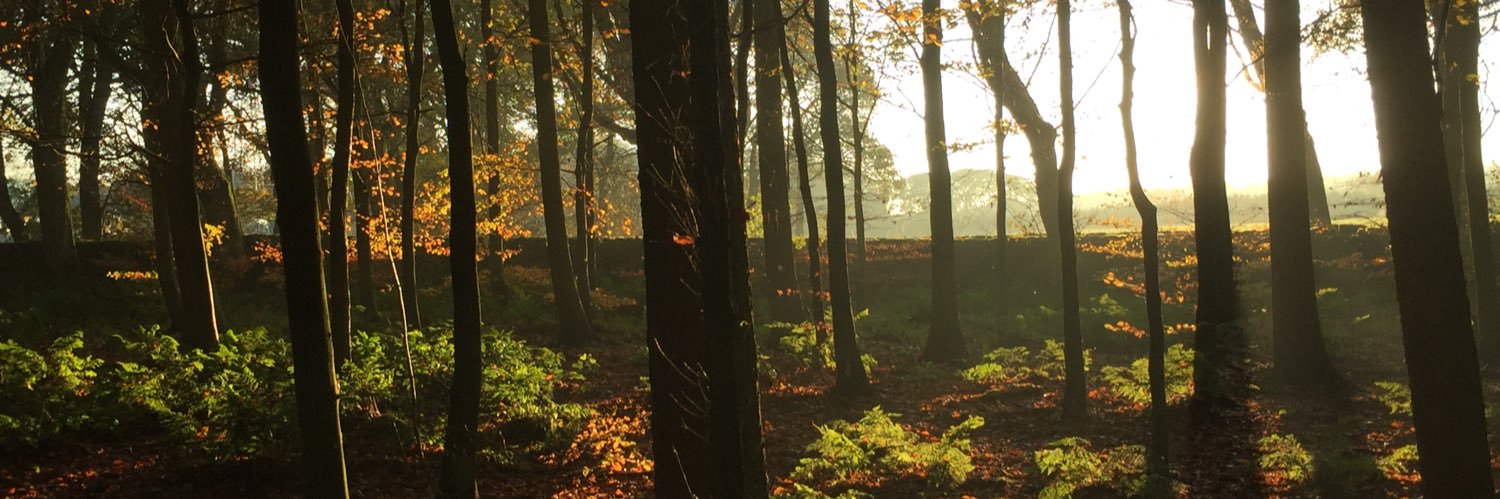 janeydark's profile banner image