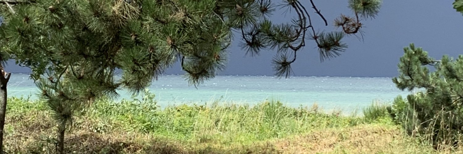 papsmir's profile banner image