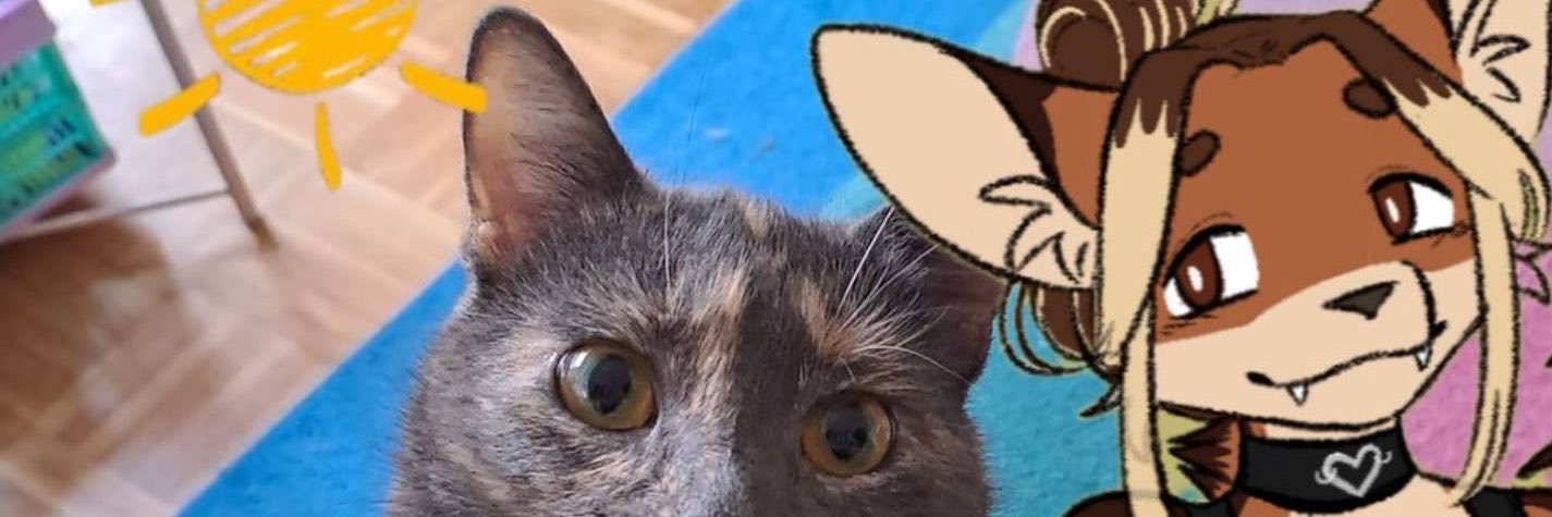 EvilRuuti340's profile banner image