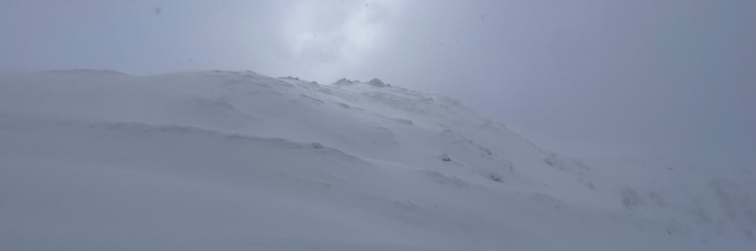 Takaharu Hayashi banner