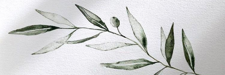 JDavis_95's profile banner image