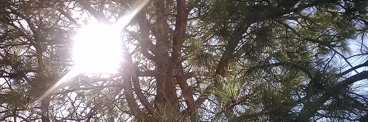 TheStevenHPod's profile banner image