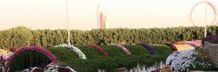 AshShaxo's profile banner image