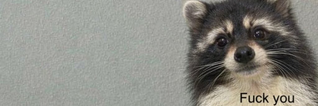 73mp3st's profile banner image