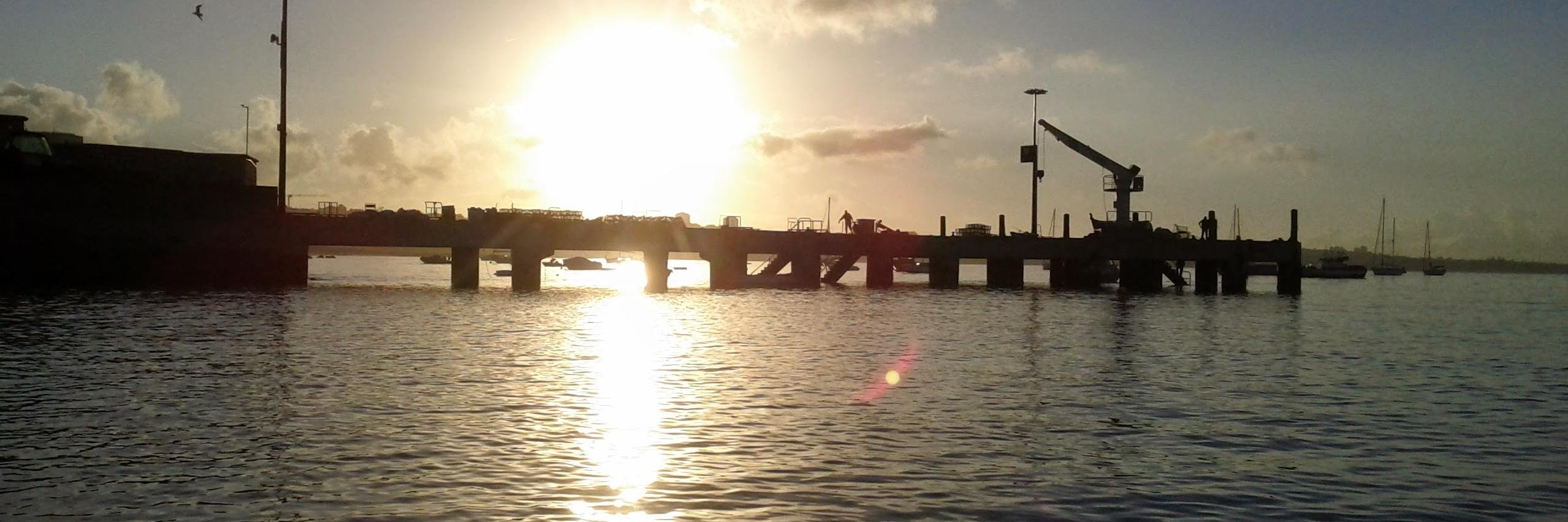 triologyc's profile banner image