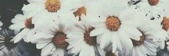 __MaferGonzalez's profile banner image