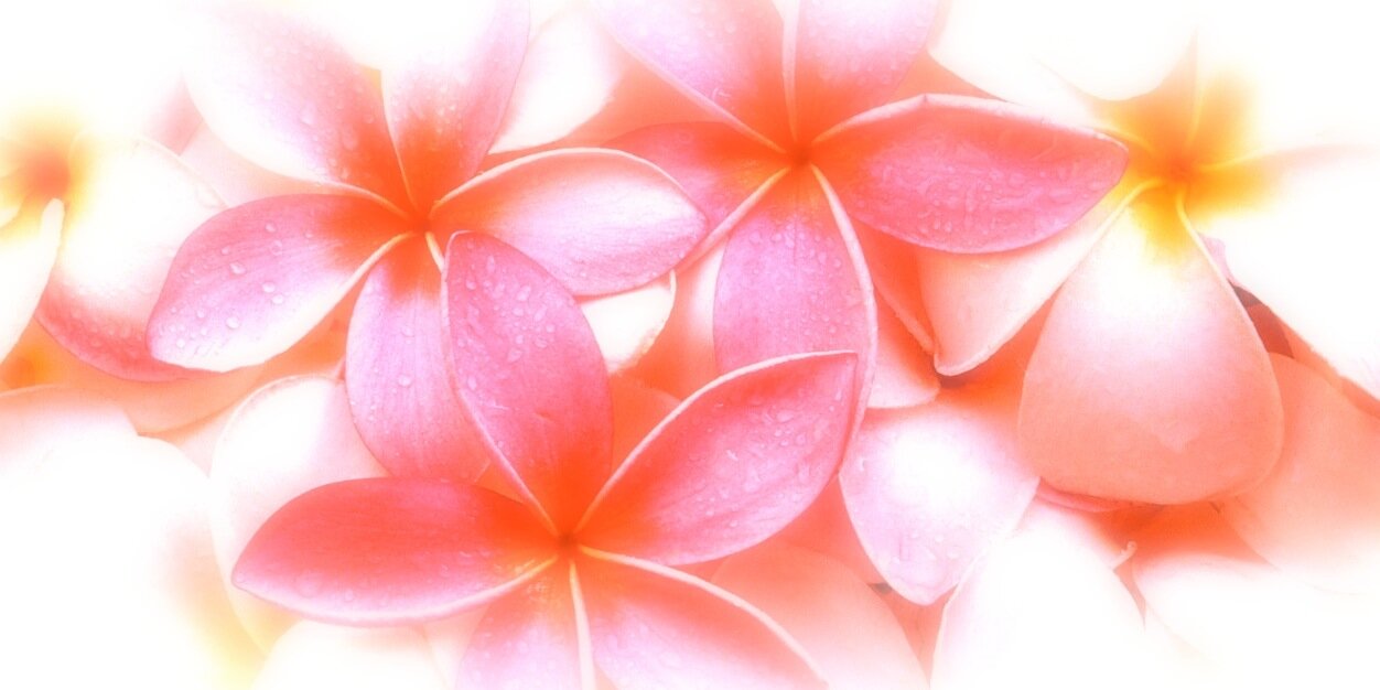 ASA_coco4's profile banner image
