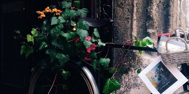 AlSMO_YAFA's profile banner image