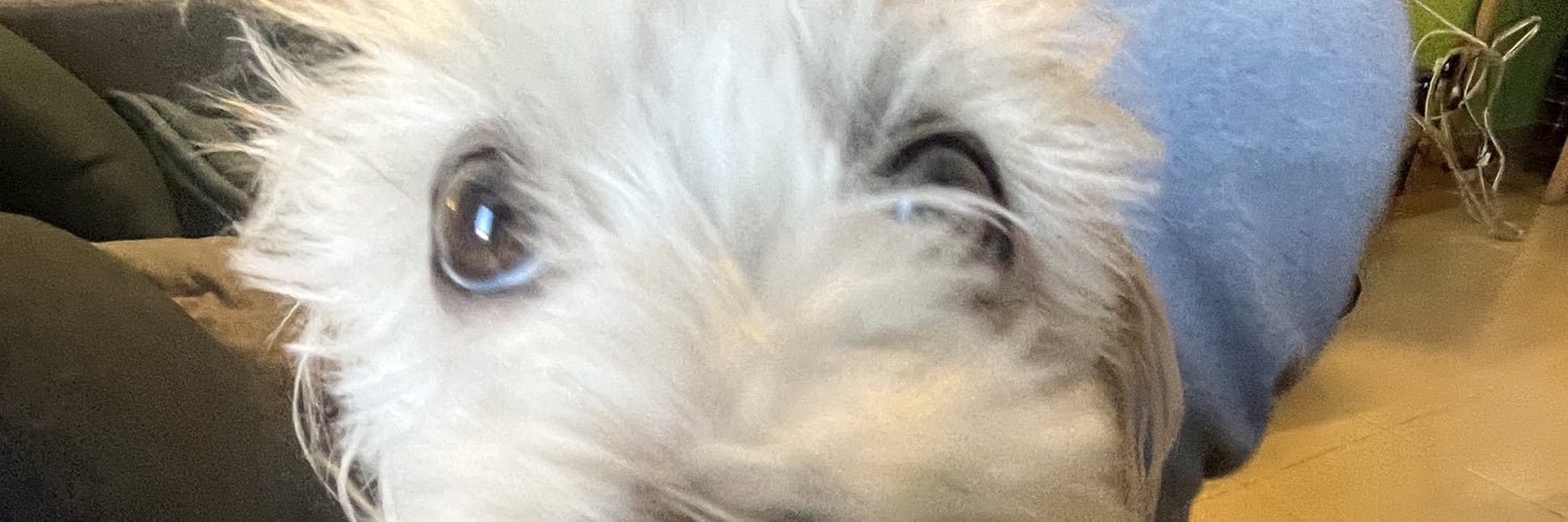 andrea_funoy's profile banner image