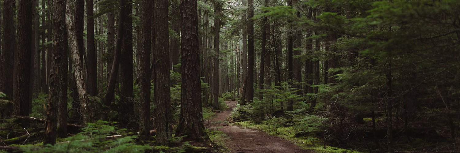 oliveandwest's profile banner image