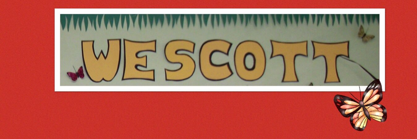 Ms Stamoudis' Class banner