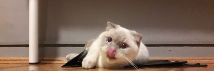gulper_ce's profile banner image