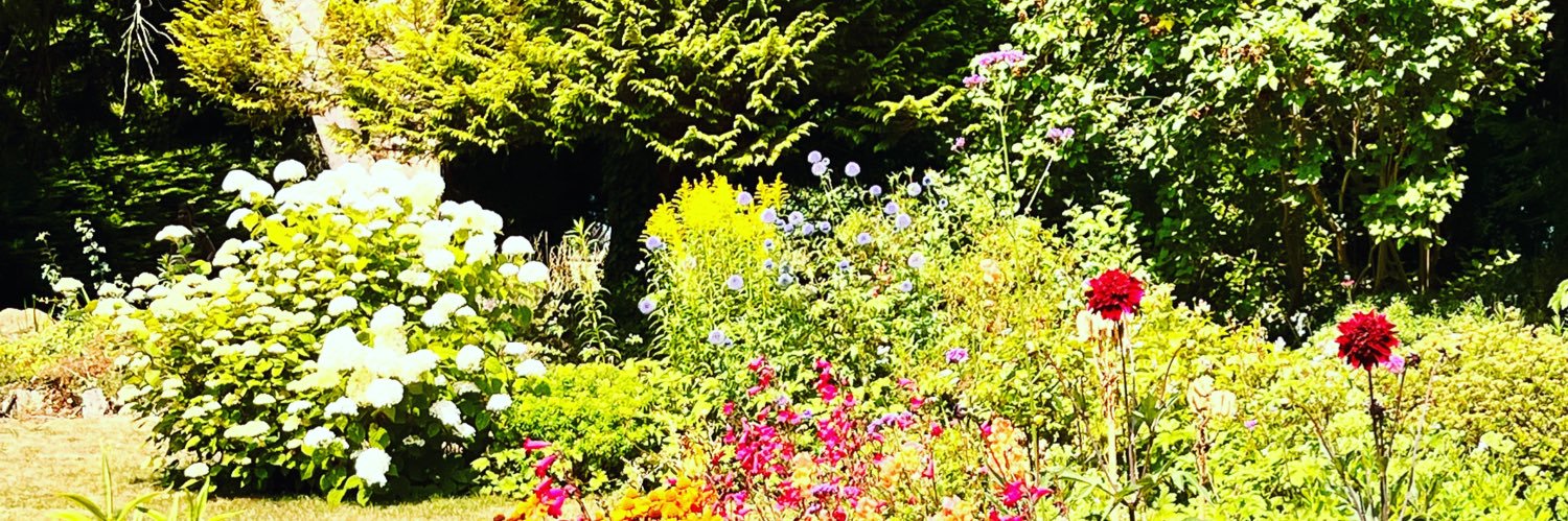 SymingtonMills's profile banner image