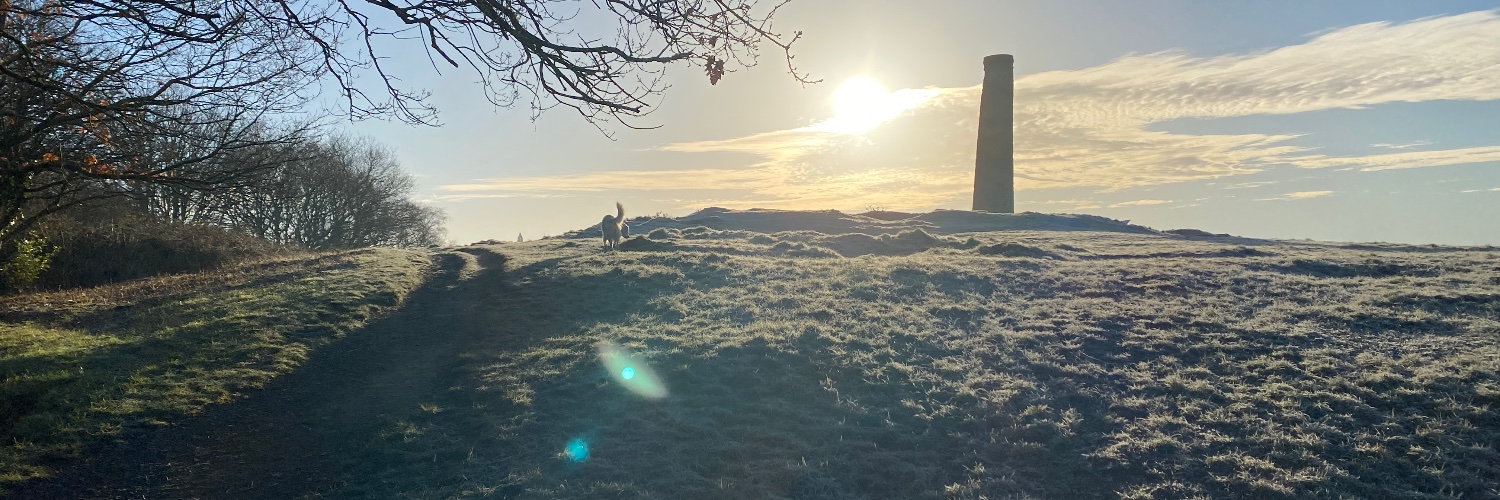 Dr Lucy Pocock (follow me on Blue Sky) banner