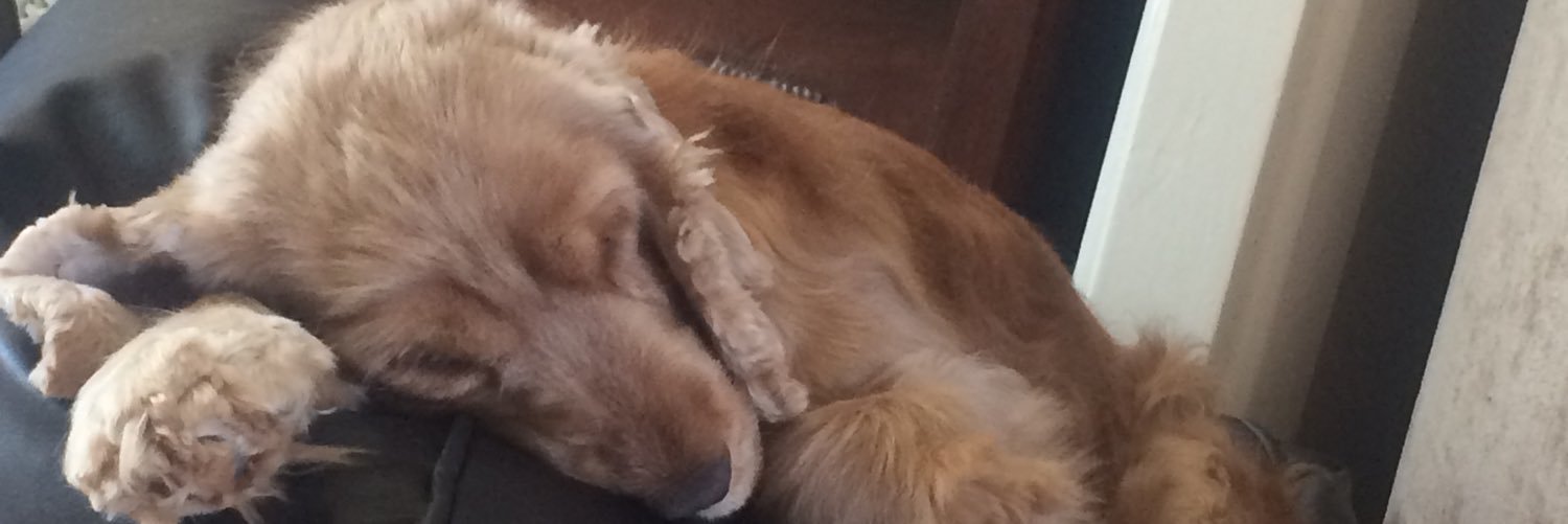 jarrodstone1's profile banner image