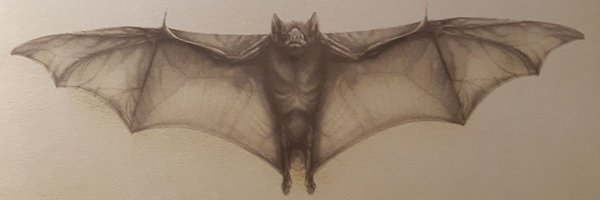 JessPollett Profile Banner