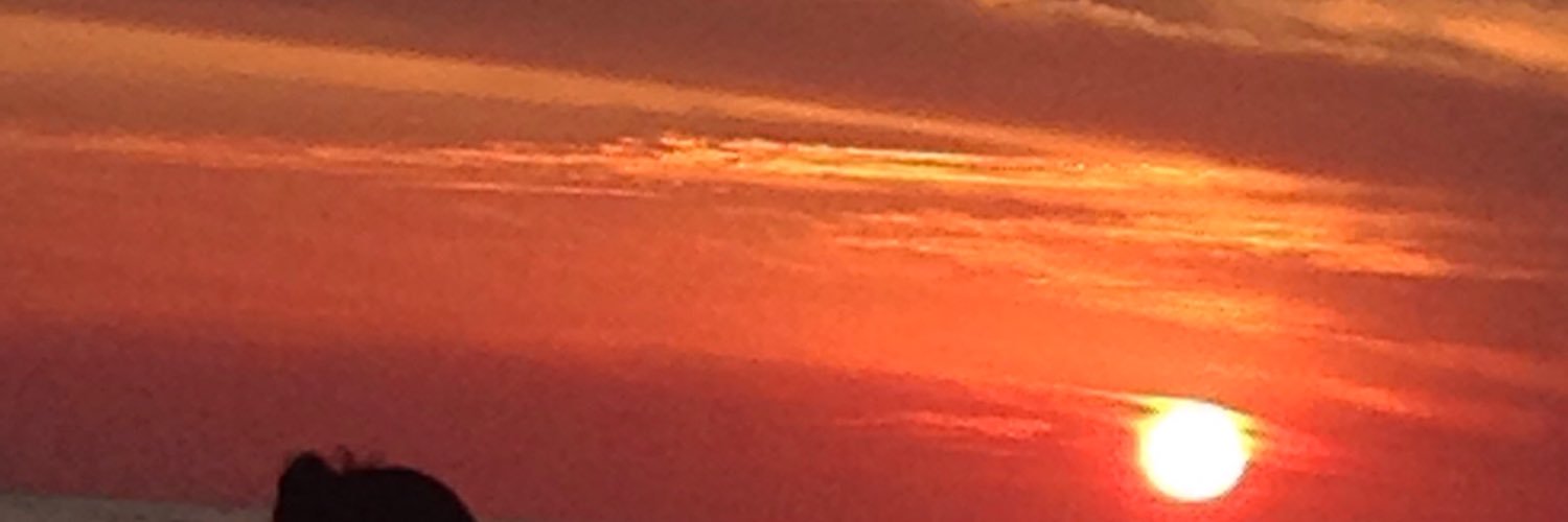 DimitraXXXX's profile banner image