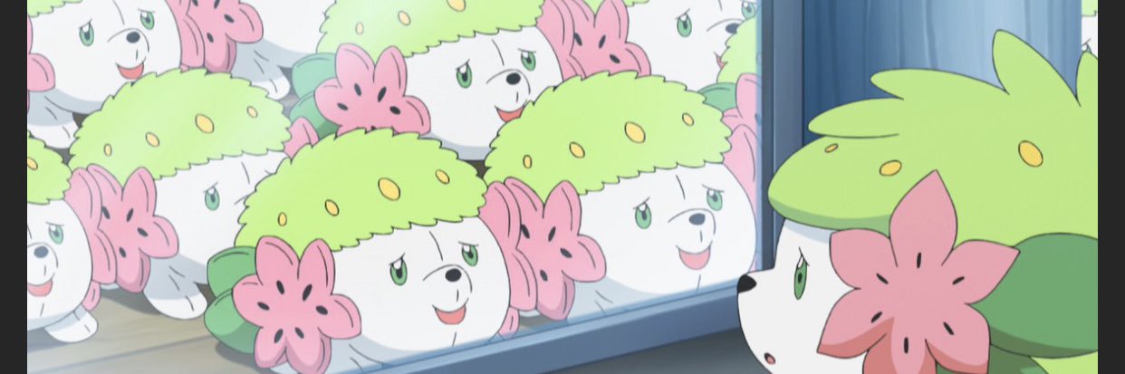 kiku@シバキ団のしたっぱ banner