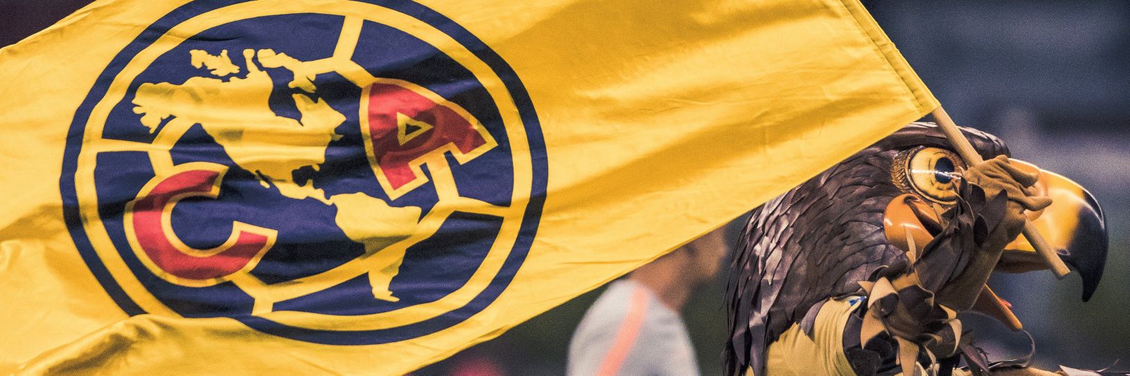 Alex banner
