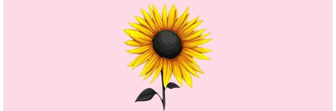 icarlysewell's profile banner image