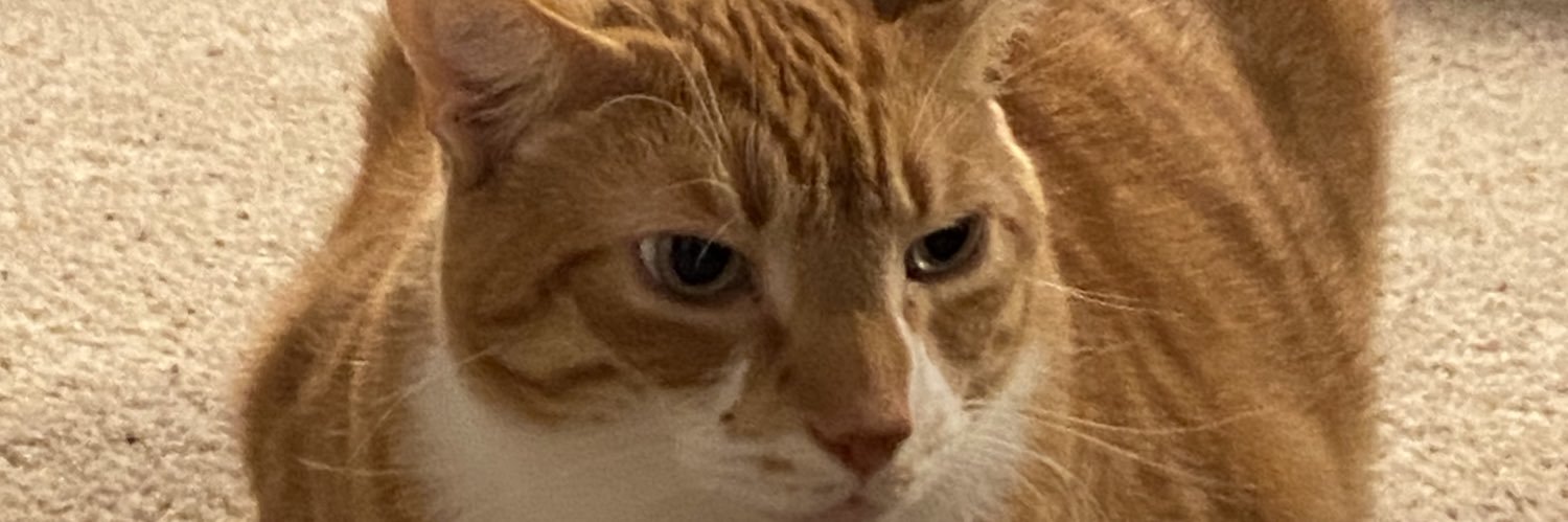 rupp13's profile banner image