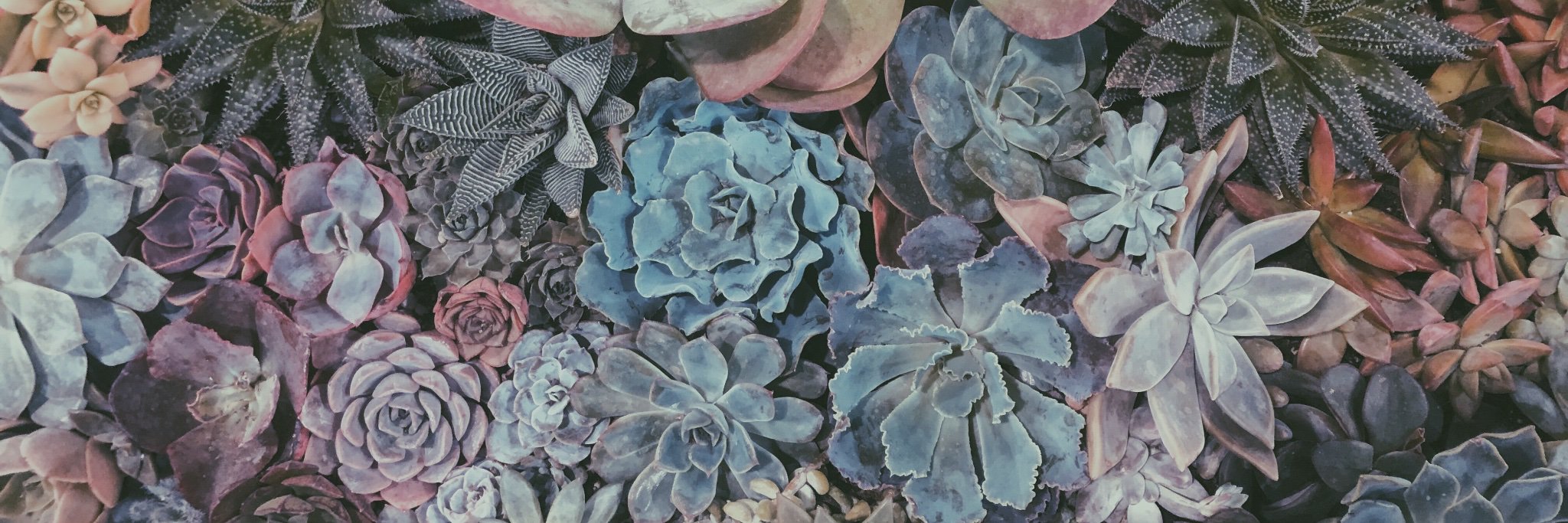JESSt_Because's profile banner image