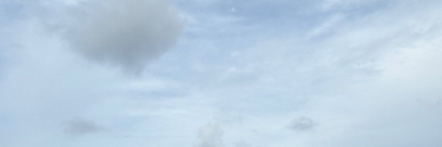 riyou_p's profile banner image