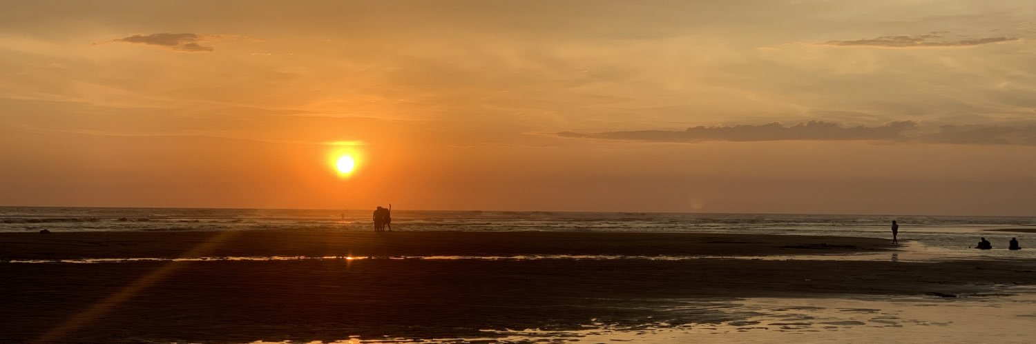 Ale Lemus banner