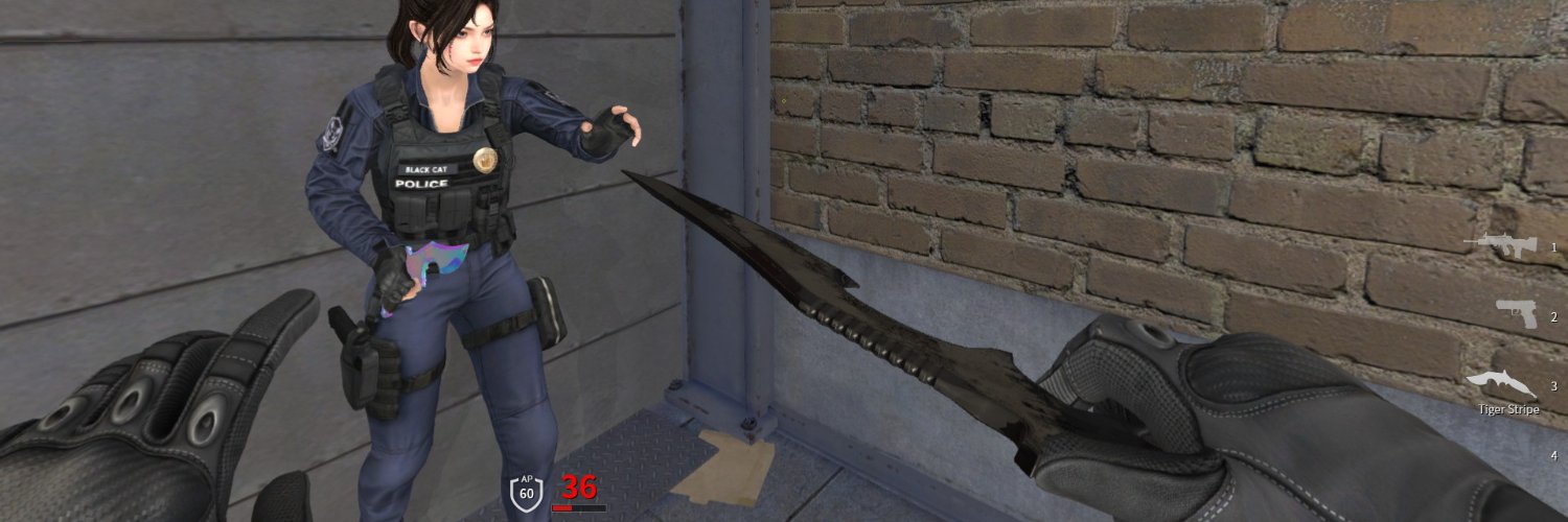 duck_ic's profile banner image