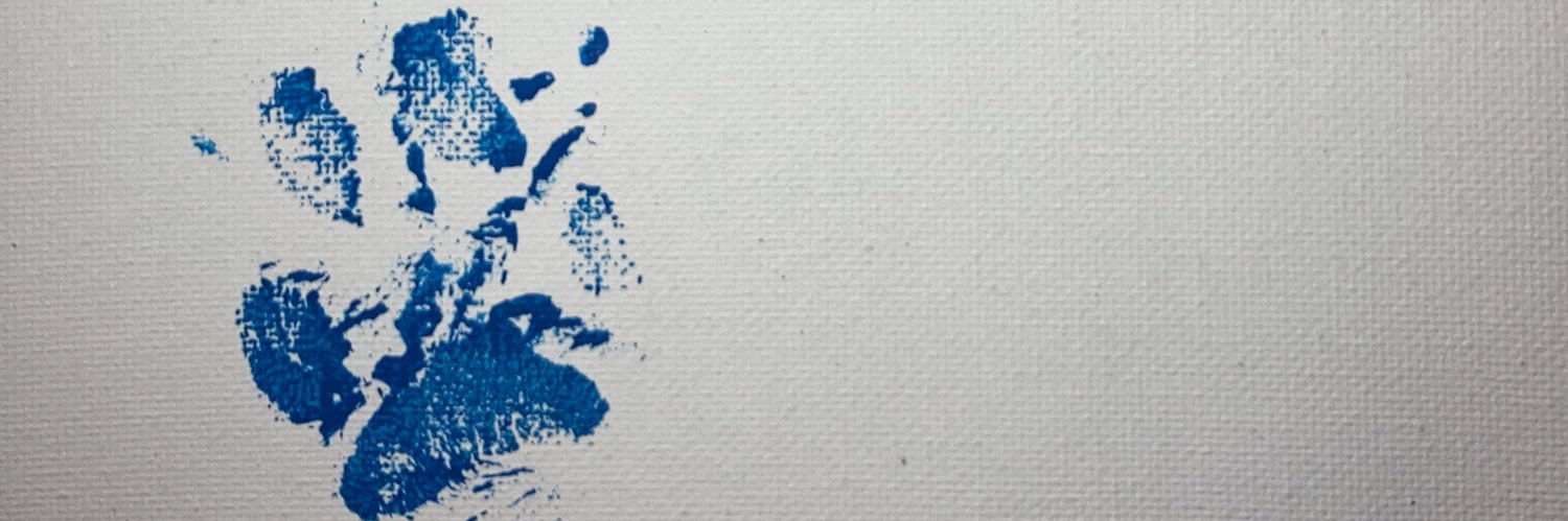 CaptainBilly22's profile banner image